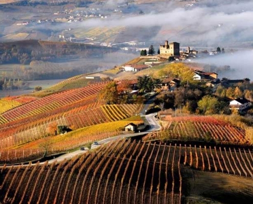 Wine Tour Experience - Francesco Pagani